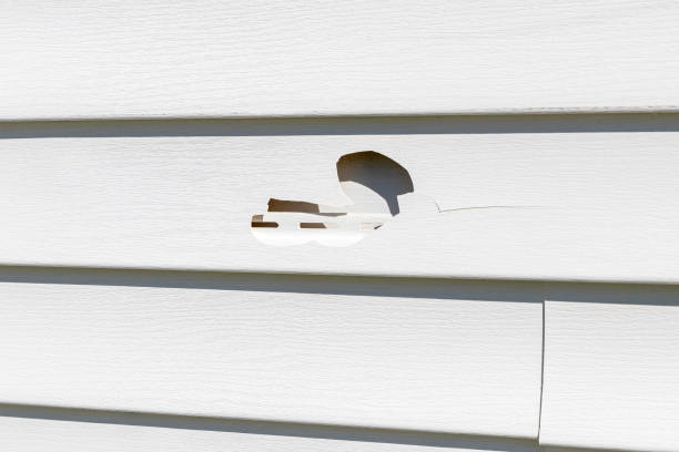 Best Property Management Cleanouts  in Keaau, HI