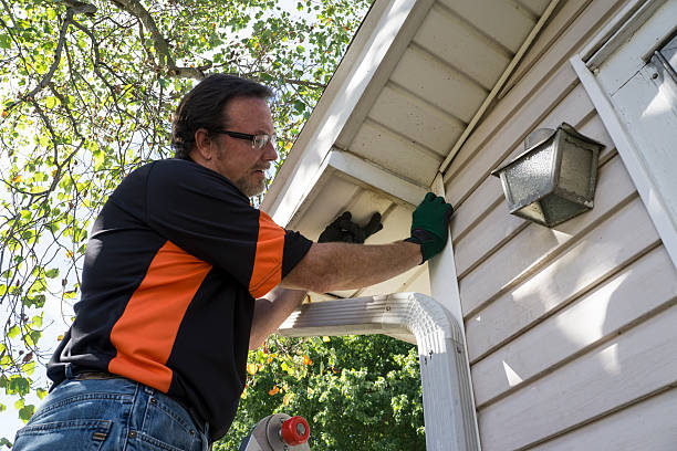 Best Hoarding Cleanup  in Keaau, HI